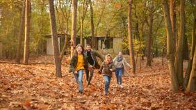 Noel center parcs