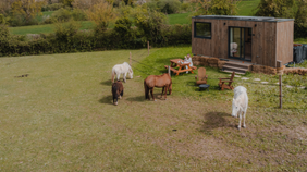 Parcel Tiny House