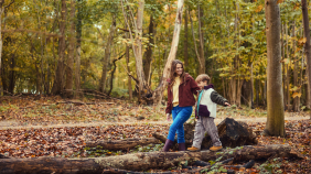 vente flash center parcs